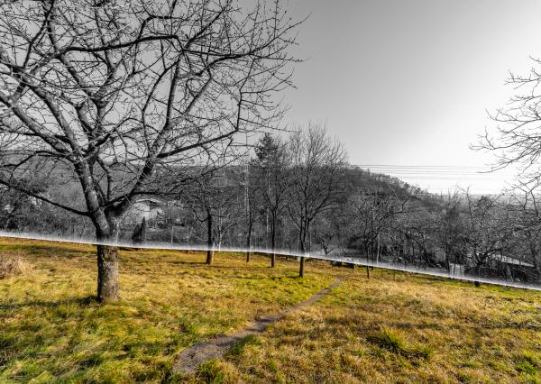 Ponúkame Vám na predaj záhrada vo Vyšnom Opátskom časť Nižná Úvrať