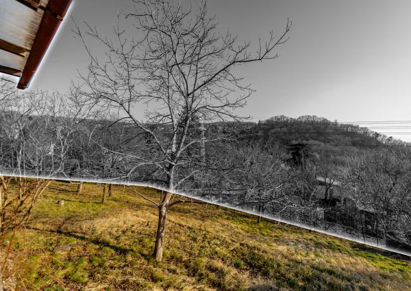 Ponúkame Vám na predaj záhrada vo Vyšnom Opátskom časť Nižná Úvrať