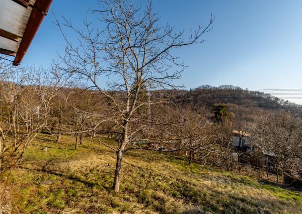 Ponúkame Vám na predaj záhrada vo Vyšnom Opátskom časť Nižná Úvrať