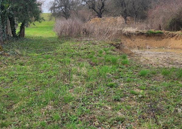 Exkluzívne na predaj stavebné pozemky v záhradkárskej oblasti za mestom Sečovce!