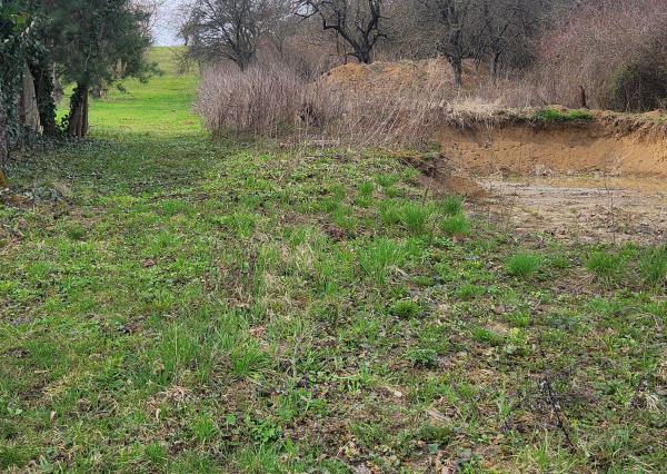 Exkluzívne na predaj stavebné pozemky v záhradkárskej oblasti za mestom Sečovce!