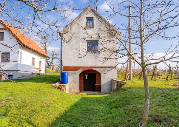 Na predaj vinohradnícky dom s výborne udržiavanou vinicou na Záhorí - v lokalite Dlhé Vysoké pole na okraji Skalice