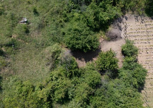 Na predaj vinica s pozemkom o výmere 720 m2