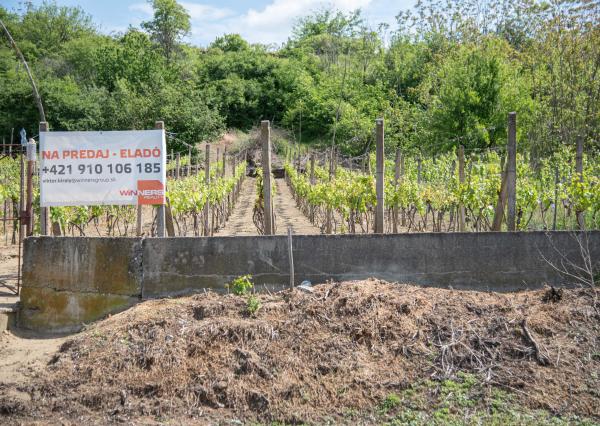 Na predaj vinica s pozemkom o výmere 720 m2