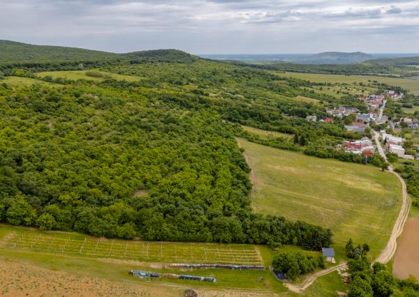 Investičný pozemok o veľkosti 44.007 m2 v obci Černochov vhodný na developerský projekt