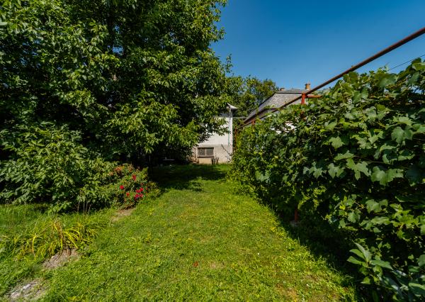 EXKLUZÍVNE vám ponúkame na predaj 3 izbový rodinný dom v príjemnej lokalite Veľkých Kapušian (okr. Michalovce).