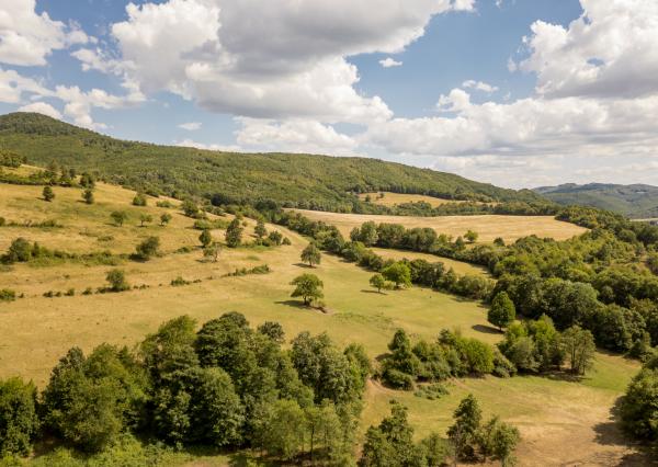 Rozsiahly pozemok vhodný na ranč, kemp alebo hobby farmu – 6,55 ha