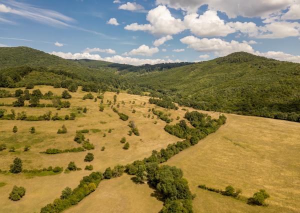 Rozsiahly pozemok vhodný na ranč, kemp alebo hobby farmu – 6,55 ha