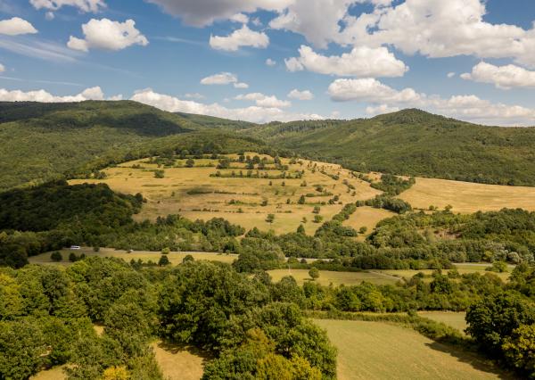 Rozsiahly pozemok vhodný na ranč, kemp alebo hobby farmu – 6,55 ha