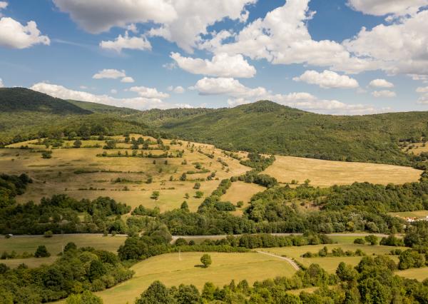 Rozsiahly pozemok vhodný na ranč, kemp alebo hobby farmu – 6,55 ha