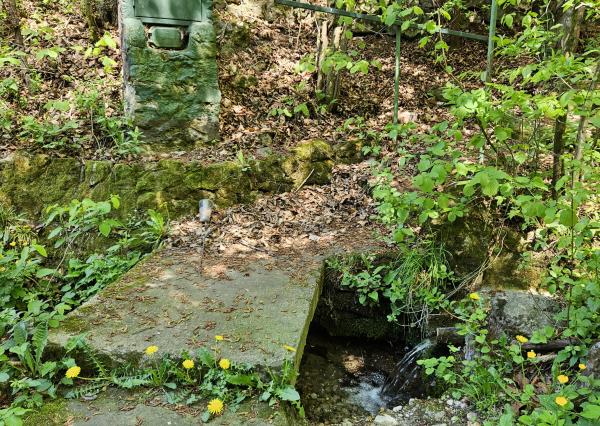 Exkluzívne  na predaj chatka na úpätí lesa v chatárskej oblasti Letkov, časť Starý Trebejov