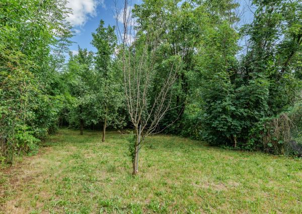 Rodinný dom, predaj, po rekonštrukcii, v blízkosti kaštieľa, Betliar