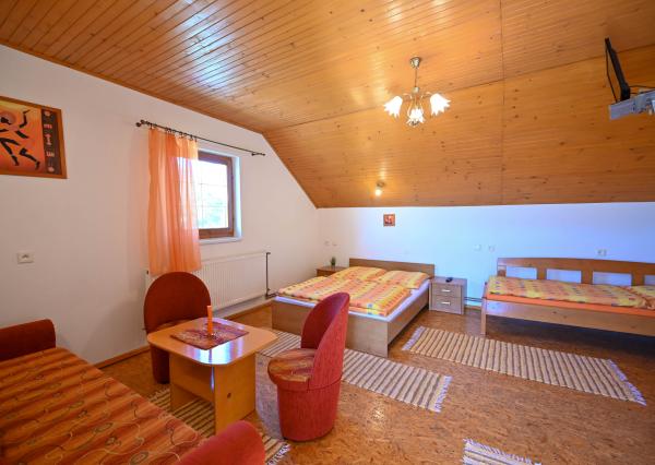 Na predaj penzión / rekreačný dom v obci Trávnica , Nové Zámky – len 3 km od termálneho kúpaliska Podhájska