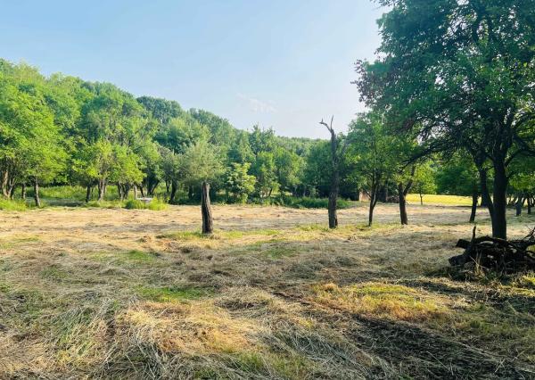 Na predaj veľký pozemok s rodinným domom, 583.292 m2, obec Nemčiňany, okres Zlaté Moravce