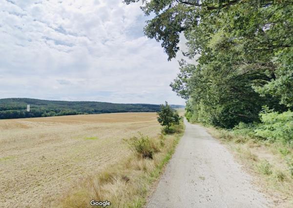 Na predaj veľký pozemok s rodinným domom, 583.292 m2, obec Nemčiňany, okres Zlaté Moravce