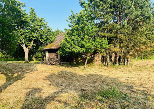 Na predaj veľký pozemok s rodinným domom, 583.292 m2, obec Nemčiňany, okres Zlaté Moravce