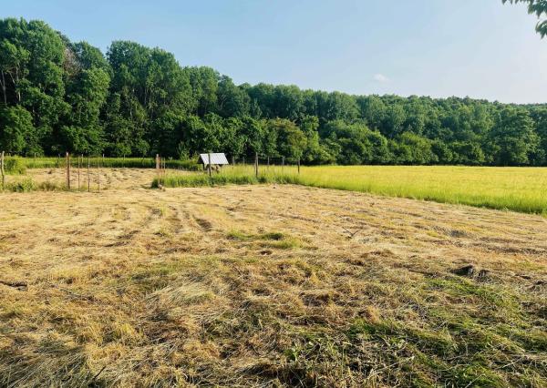 Na predaj veľký pozemok s rodinným domom, 583.292 m2, obec Nemčiňany, okres Zlaté Moravce