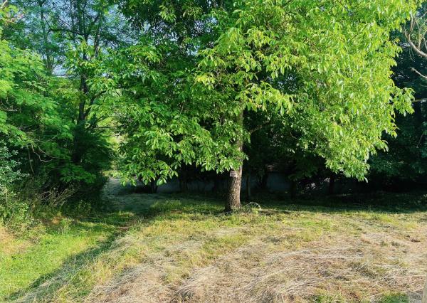 Na predaj veľký pozemok s rodinným domom, 583.292 m2, obec Nemčiňany, okres Zlaté Moravce