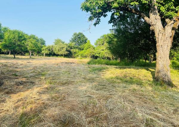 Na predaj veľký pozemok s rodinným domom, 583.292 m2, obec Nemčiňany, okres Zlaté Moravce