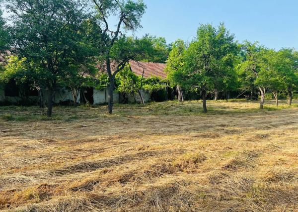 Na predaj veľký pozemok s rodinným domom, 583.292 m2, obec Nemčiňany, okres Zlaté Moravce