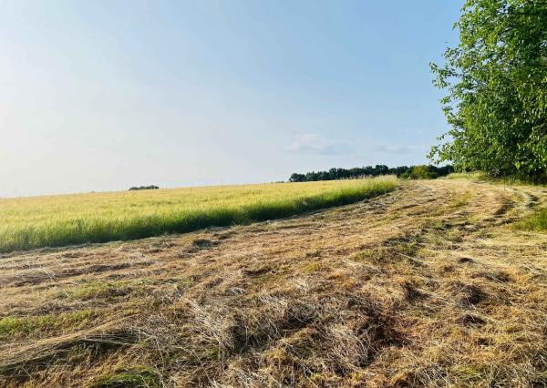 Na predaj veľký pozemok s rodinným domom, 583.292 m2, obec Nemčiňany, okres Zlaté Moravce