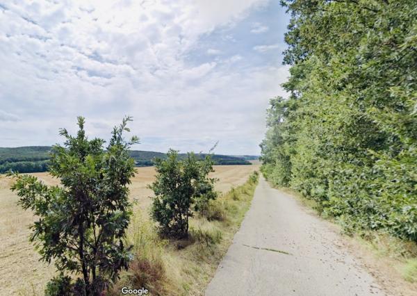 Na predaj veľký pozemok s rodinným domom, 583.292 m2, obec Nemčiňany, okres Zlaté Moravce