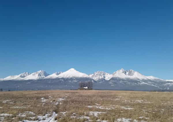 Na  predaj investičný pozemok v podtatranskej obci Mlynica !