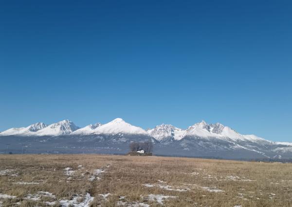 Na  predaj investičný pozemok v podtatranskej obci Mlynica !