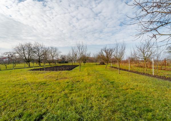 NA PREDAJ: Vidiecky rodinný dom s veľkorysým 50-árovým pozemkom – obec Čierna (okr. Trebišov)