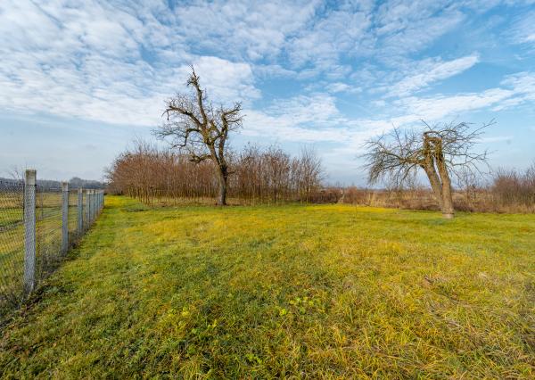 NA PREDAJ: Vidiecky rodinný dom s veľkorysým 50-árovým pozemkom – obec Čierna (okr. Trebišov)