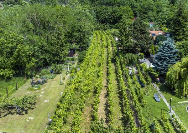 Na predaj pozemok s projektom a stavebným povolením DNV, južný svah s výhľadom na Rakúsko