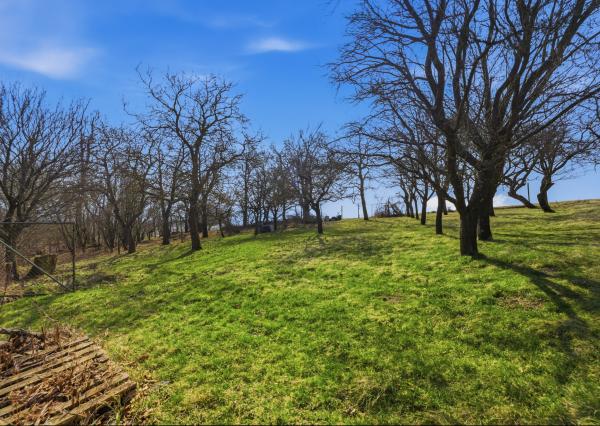 Celoročne obývateľná chalupa na Záhorí vo vidieckom štýle: • 3 izbová rekreačná nehnuteľnosť s veľkým slnečným pozemkom