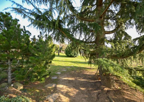 REZERVOVANÉ - PREDAJ, pozemok 350 m², Kľačany, Hlohovec