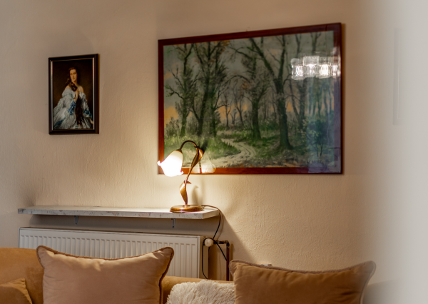 Predaj čarovnej chalupy v obci Petrova Lehota, Trenčín