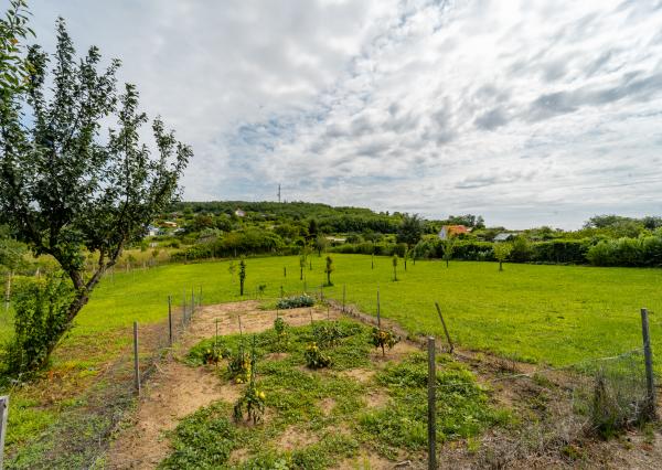 Vinica s murovanou chatkou
