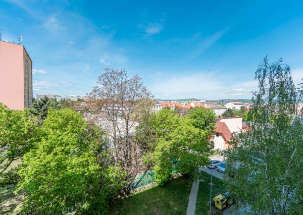 Na prenájom priestranný 2,5-izbový byt s loggiou – Južná trieda, Košice (Juh)