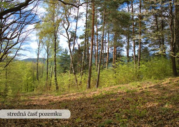 Zaježová – pozemok s výhľadom