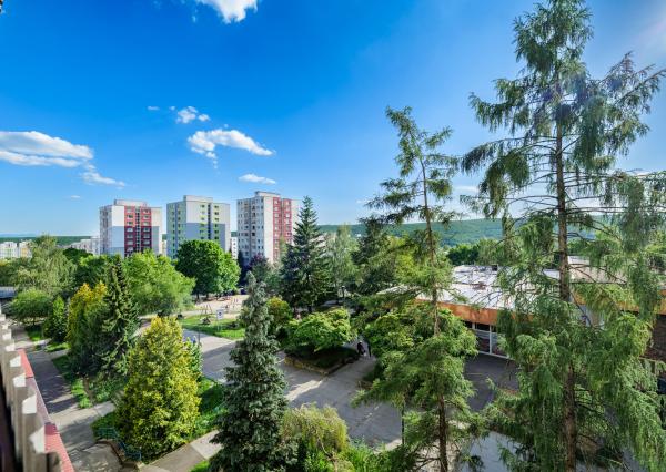 1,5-izbový, prenájom, 43 m2, loggia, Zombova, Košice - Sídlisko KVP