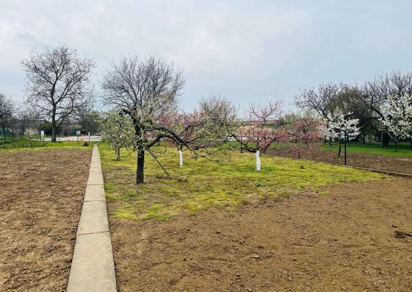 Na  predaj stavebný pozemok 800 m2, Križovany nad Dudváhom, okres Trnava