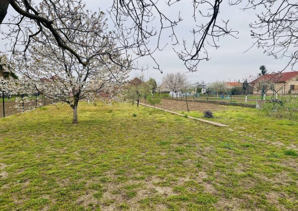 Na  predaj stavebný pozemok 800 m2, Križovany nad Dudváhom, okres Trnava