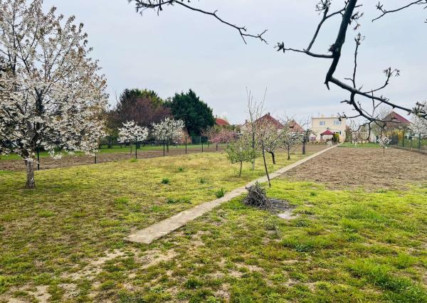 Na  predaj stavebný pozemok 800 m2, Križovany nad Dudváhom, okres Trnava