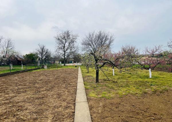 Na  predaj stavebný pozemok 800 m2, Križovany nad Dudváhom, okres Trnava