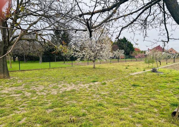 Na  predaj stavebný pozemok 800 m2, Križovany nad Dudváhom, okres Trnava