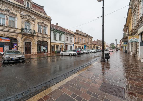 Ponúkam na prenájom veľmi pekný 1,5-izbový byt na Alžbetinej ulici v Košiciach